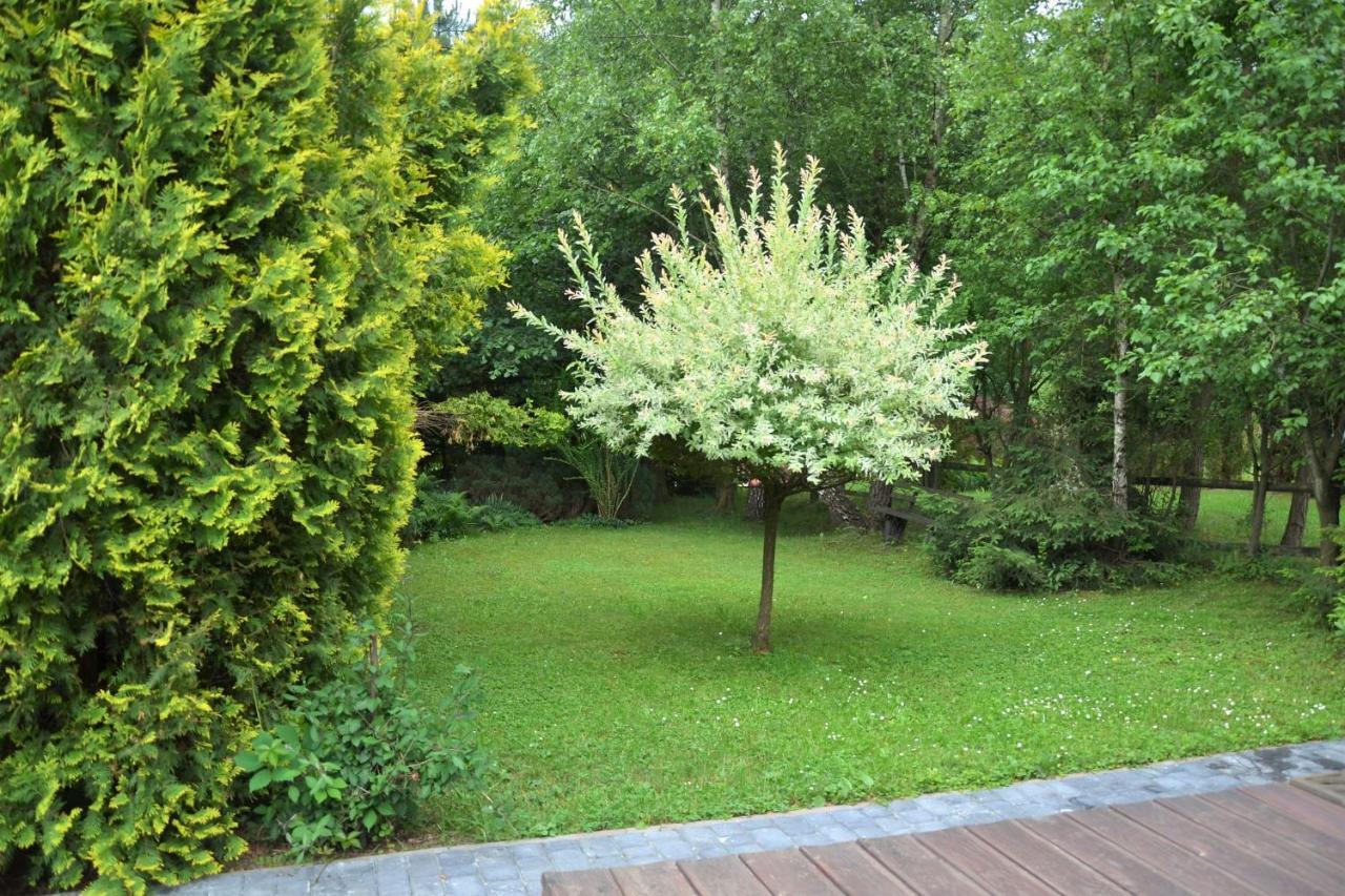 Domki Letniskowe Pod Lasem Koziniec Exterior photo
